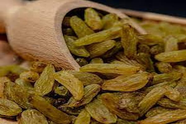تصویر 4 از خرید کشمش سایه خشک ملایر + قیمت فروش استثنایی